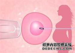 供卵试管中介怎么样-试管代孕要多少钱_青岛助孕试管婴儿的成长发育和正常婴